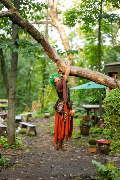 Teak hanging from a large tree branch